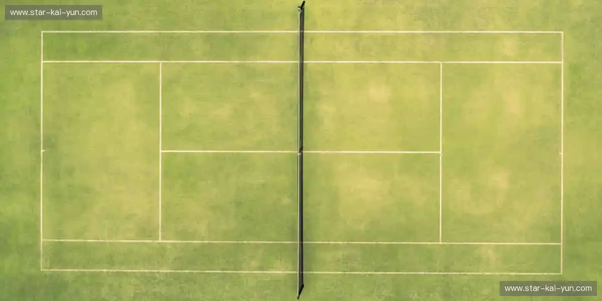 🎮 从装备到收藏，一站式满足你的体育情怀！