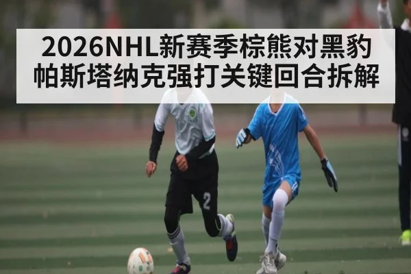 2026NHL新赛季棕熊对黑豹帕斯塔纳克强打关键回合拆解（kaiyun）