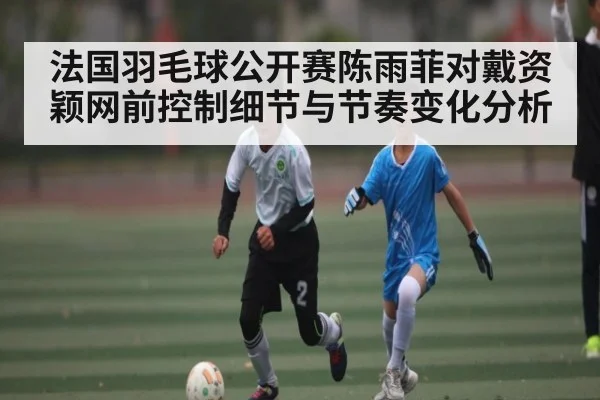 法国羽毛球公开赛陈雨菲对戴资颖网前控制细节与节奏变化分析 | kaiyun